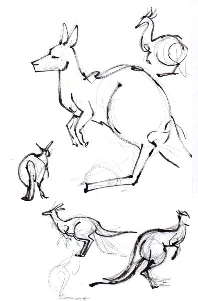 Зарисовка кенгуру