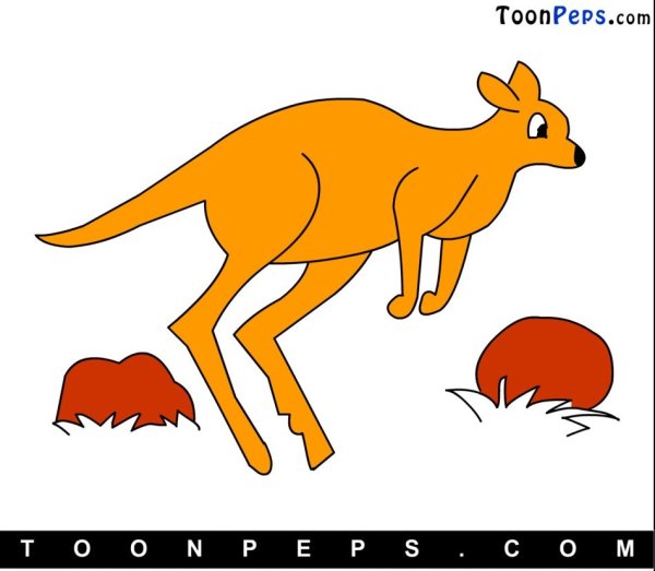 Рисунки про кенгуру по частям