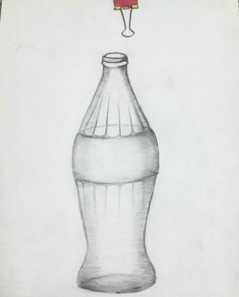 Поэтапное рисование бутылки