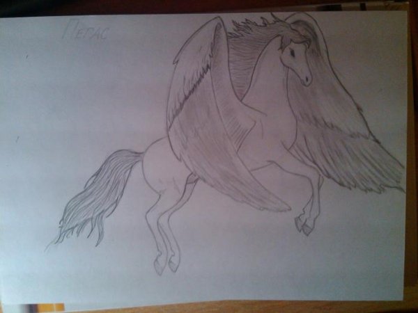 Пегас карандашом пошагово
