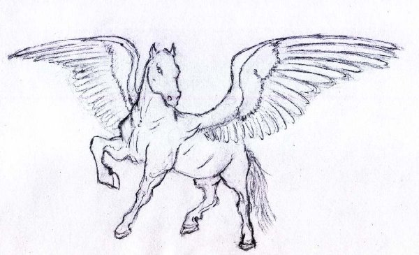 Поэтапное рисование Пегаса