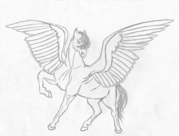 Нарисовать Пегаса