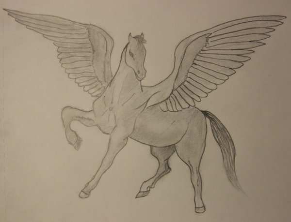 Рисунок лошади с крыльями карандашом для срисовки
