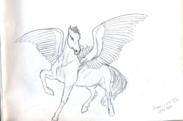 Рисунок карандашом лошадь с крыльями