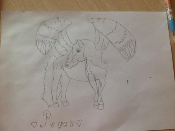 Пегас рисунок для детей по этапно