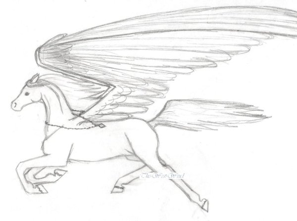 Как нарисовать пони поэтапно