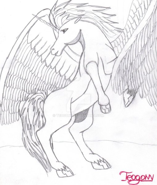 Нарисовать Пегаса