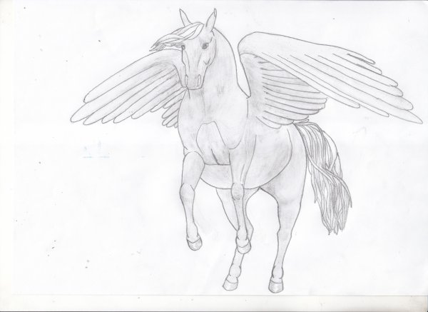 Пегас рисунок карандашом