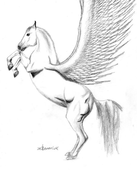 Пегас как нарисовать фото