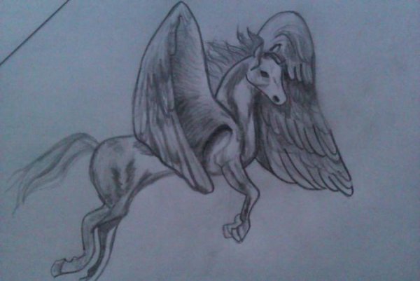 Схема рисования Пегаса