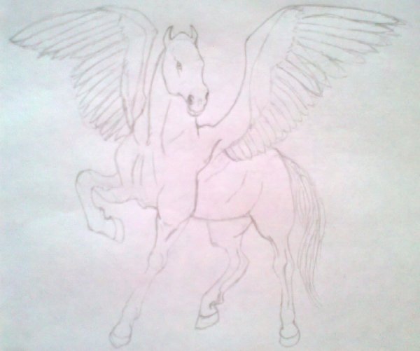 Лошадь карандашом для срисовки