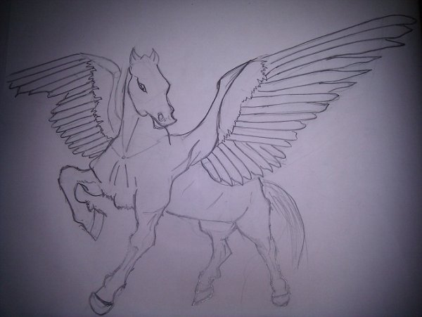 Поэтапное рисование лошади с крыльями