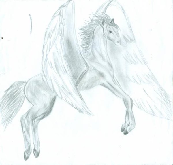 Нарисовать лошадь с крыльями