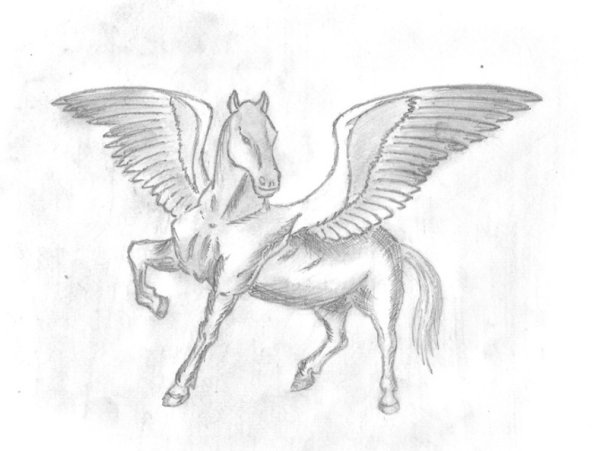 Пегас пошаговый рисунок