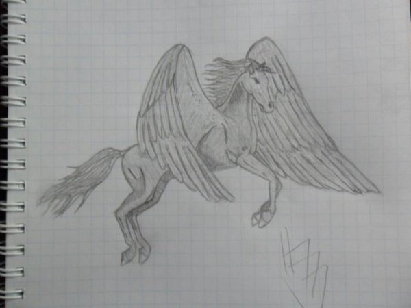 Поэтапное рисование Пегаса