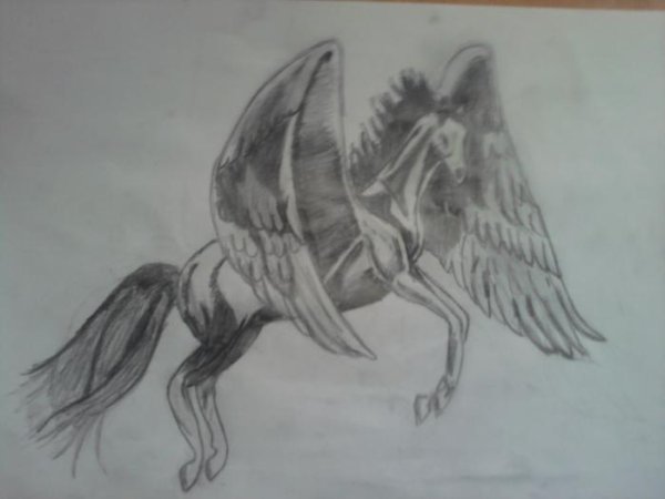 Поэтапное рисование Пегаса