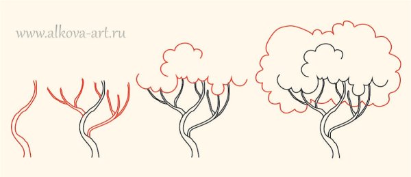 Поэтапное рисование кустарника