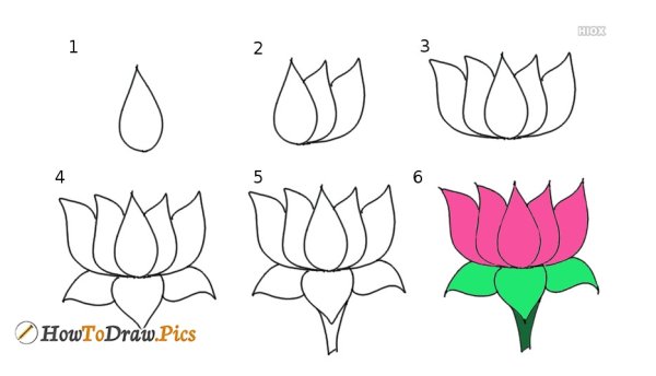Поэтапное рисование лотоса
