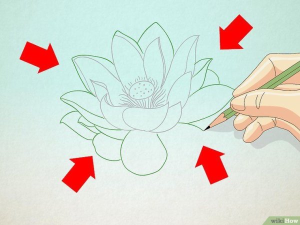 Лотос пошагово рисунок