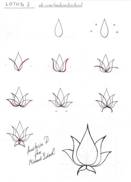 Поэтапное рисование лотоса