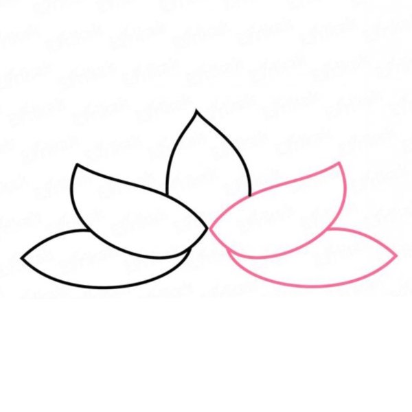 Поэтапное рисование лотоса