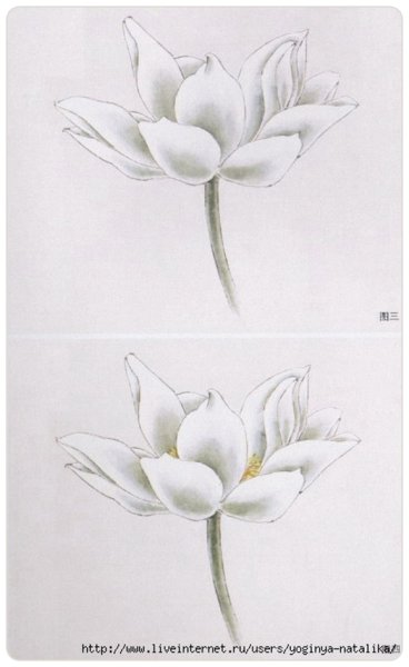 Поэтапное рисование лотоса