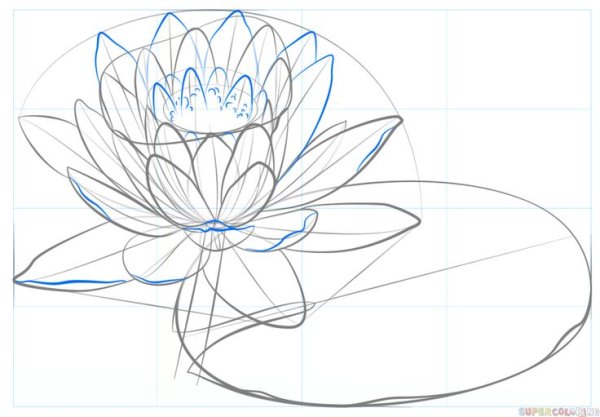 Конструктивное рисование цветов
