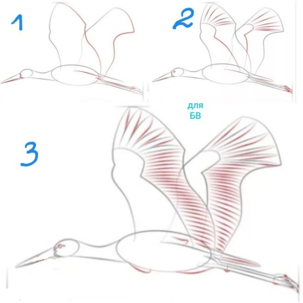 Поэтапное рисование журавля для детей