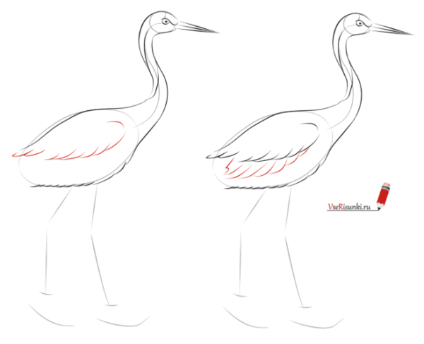 Журавль поэтапный рисунок