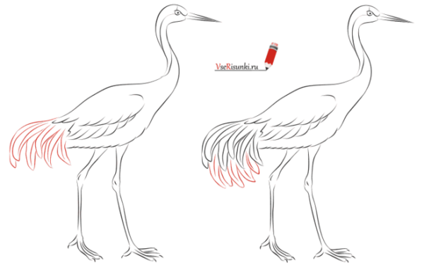Журавль поэтапное рисование