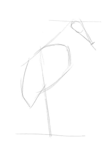 Журавль поэтапное рисование