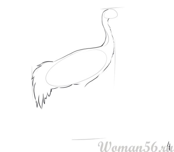 Журавль хвост нарисованный