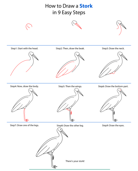 Поэтапное рисование аиста