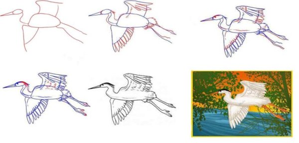 Цапля рисунок поэтапно
