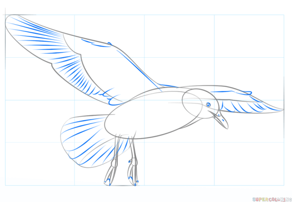 Поэтапное рисование Чайки
