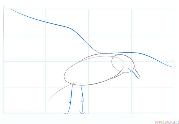 Поэтапное рисование Чайки