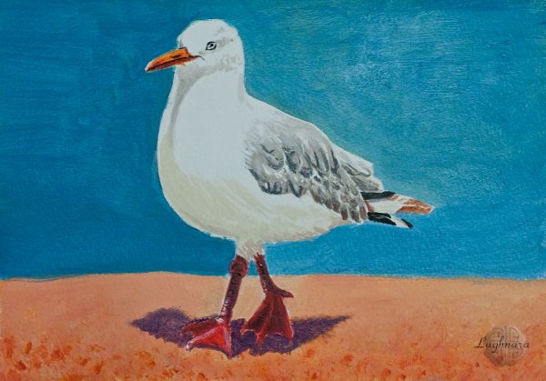 Чайка для рисования