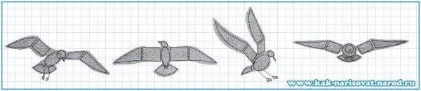 Схема как рисовать Чайки