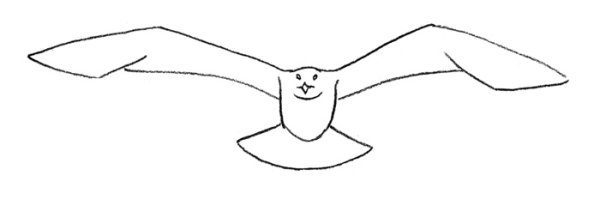 Рисуем чайку пошагово