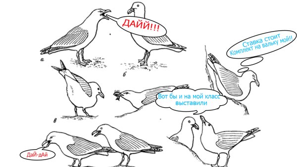 Как рисовать чайку одним движением