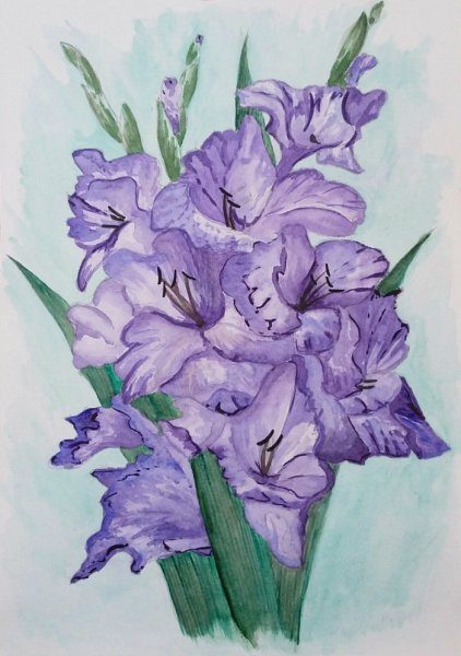 Ботаническая акварель гладиолусы