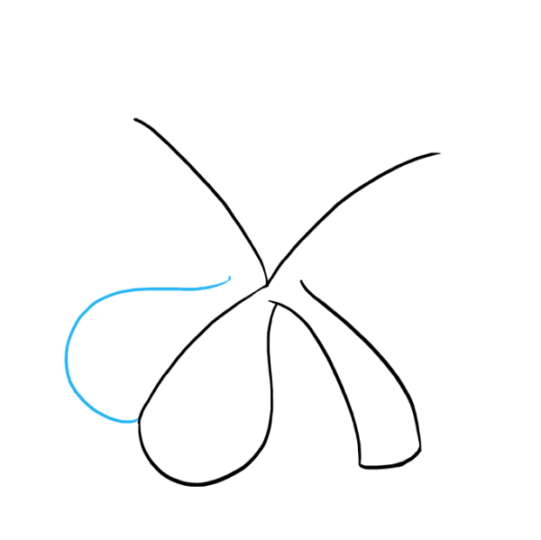 Поэтапное рисование клевера