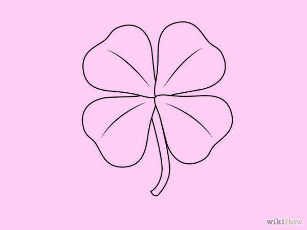 Клевер для срисовки