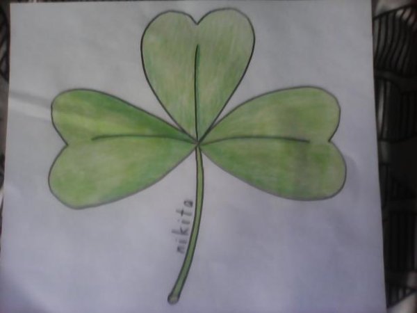 Лист клевера карандашом