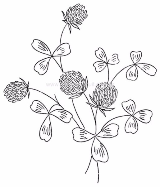 Клевер карандашом