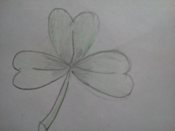 Трилистник поэтапно карандашом