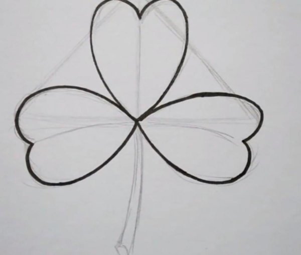 Трилистник рисунок карандашом