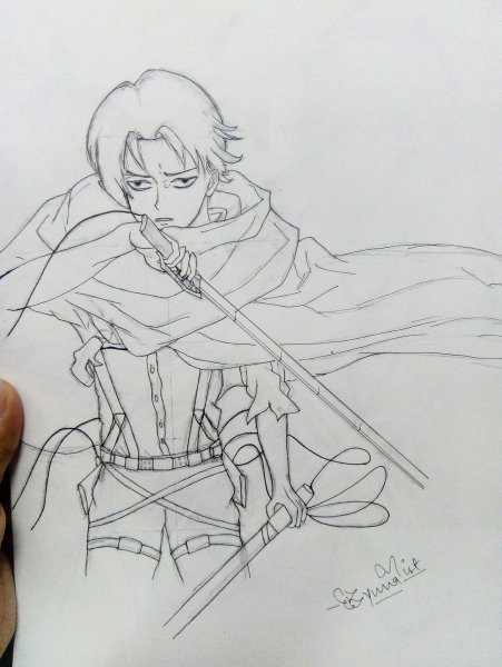 Поэтапный рисунок Леви