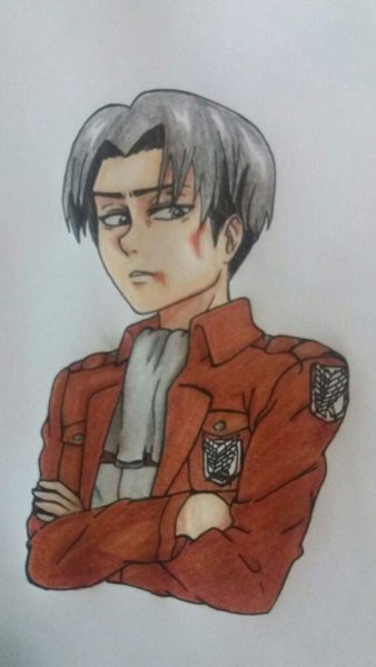 Капитан Леви рисунок