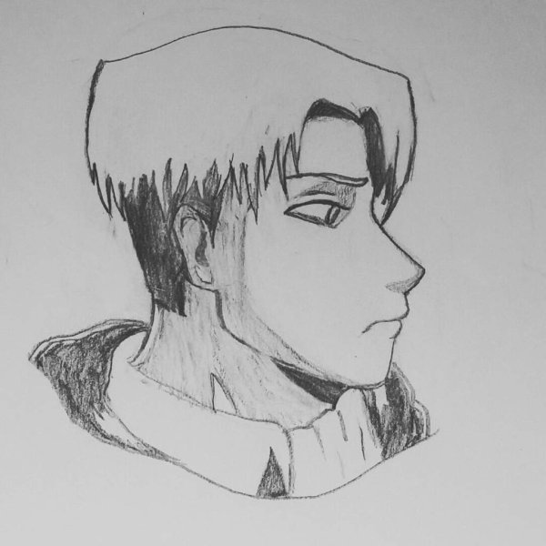 Леви Аккерман для срисовки